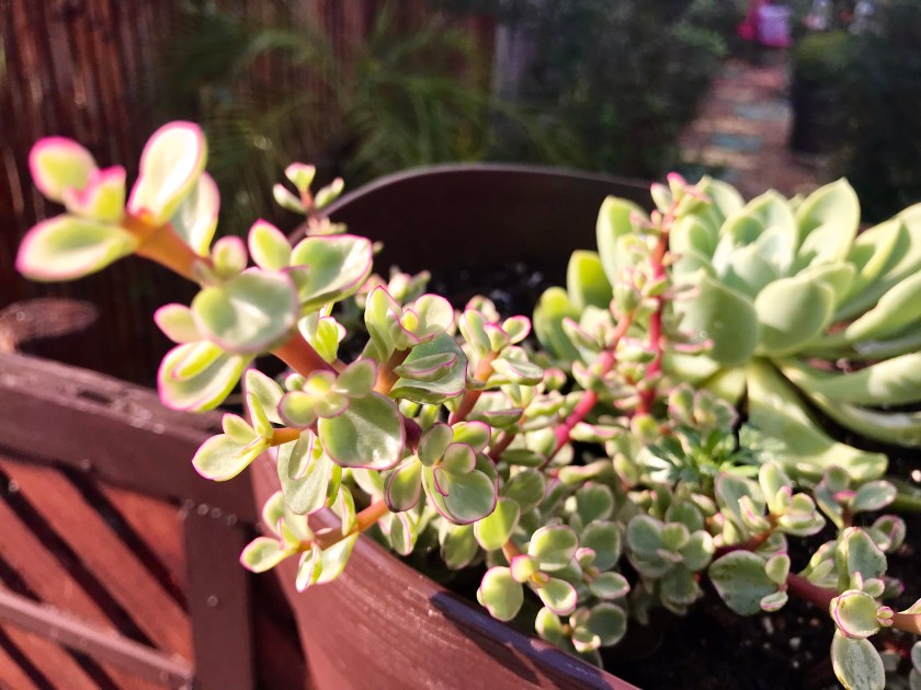 691691CB-A2C7-447A-A2DB-A0ED39388496