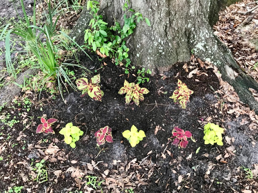 6B543AEA-1E90-45C2-9A18-57511C9057C6