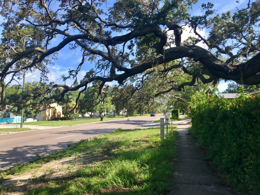 8C05E2F4-6307-4BA5-943B-5509F7635DDE