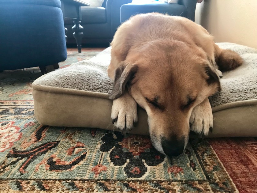 FC845503-7A8C-4828-A3DF-C1526635BDC3